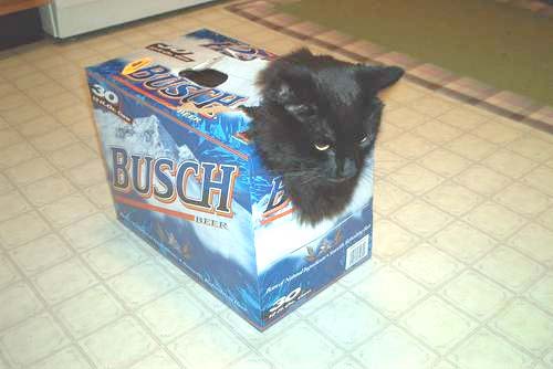 Redneck Cat Carrier